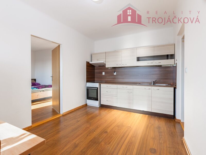 Prodej bytu 1+1, 48 m2, Ostrava - Mariánské Hory