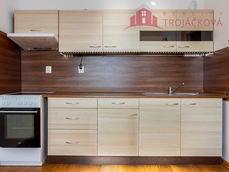 Prodej bytu 1+1, 48 m2, Ostrava - Mariánské Hory