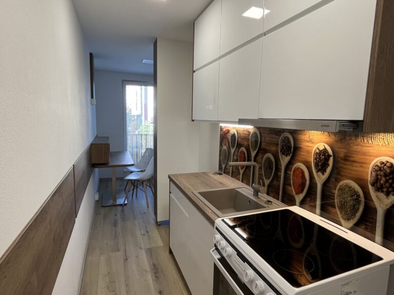 Pronájem bytu 1+kk, 31 m2, Svat. Čecha, Nový Bohumín