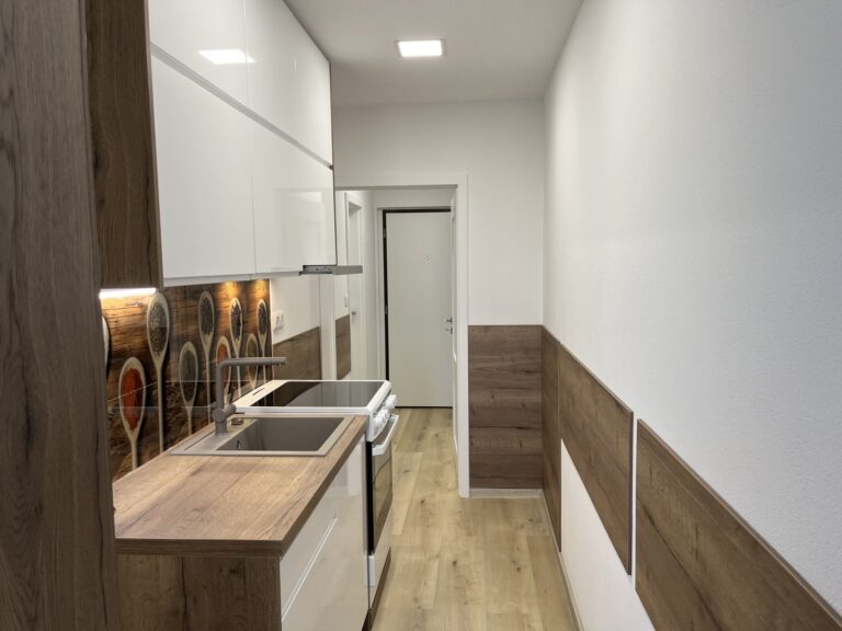 Pronájem bytu 1+kk, 31 m2, Svat. Čecha, Nový Bohumín