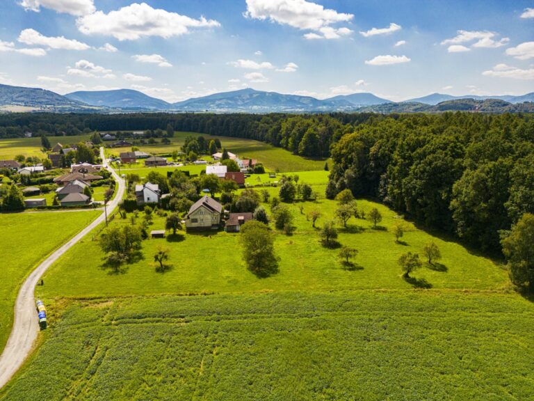 Prodej stavebního pozemku 4 684 m2, Horní Domaslavice