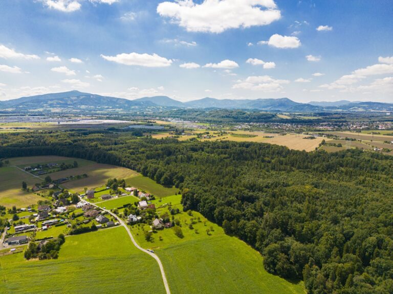 Prodej stavebního pozemku 4 684 m2, Horní Domaslavice