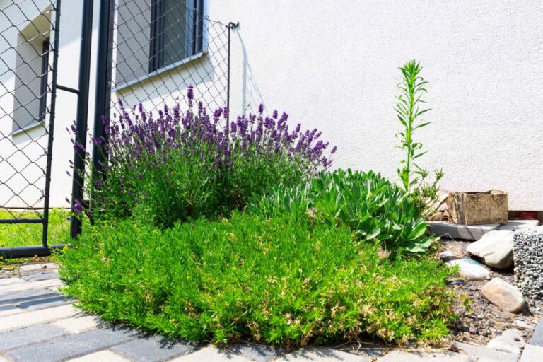 Prodej rodinného domu 342 m2, obec Albrechtičky, pozemek 549 m2