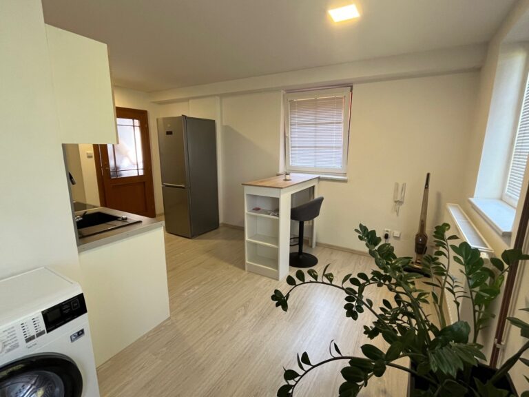 Pronájem bytu 2+1, 64m2, Kozlovice