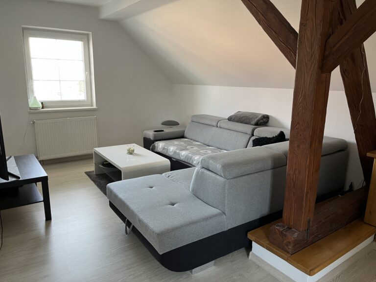 Pronájem bytu 2+1, 64m2, Kozlovice