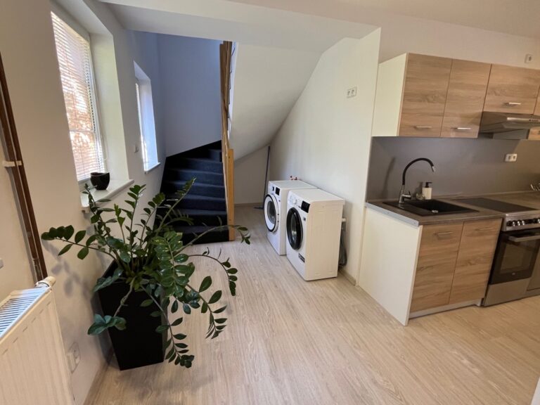 Pronájem bytu 2+1, 64m2, Kozlovice