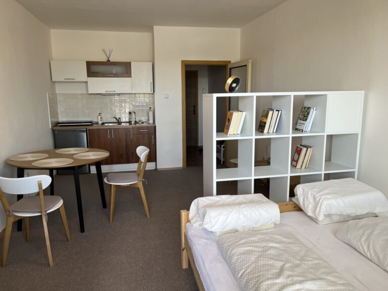 Pronájem bytu 1+kk, , 31 m2, Meziříčská , Rožnov pod Radhoštěm