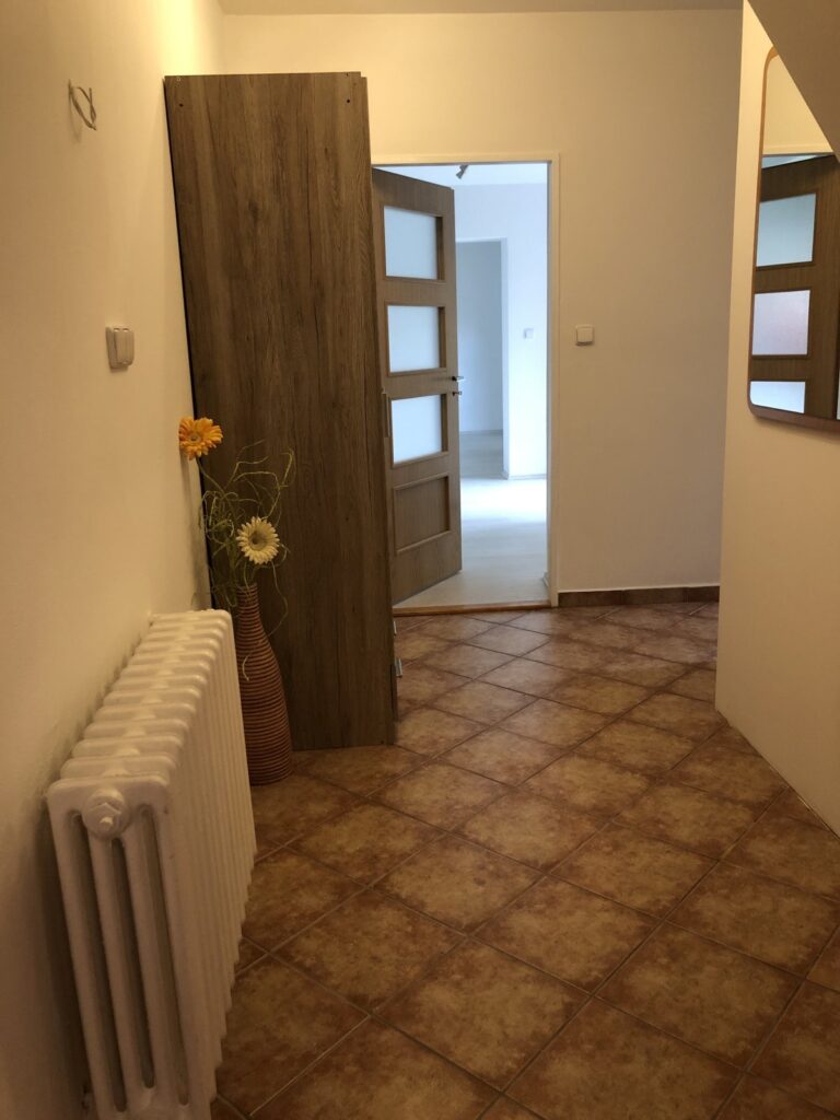 Pronájem bytu 1+1, 65 m2, Kozlovice