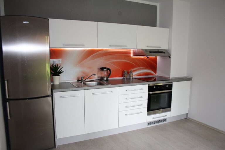 Pronájem bytu 1+1, 65 m2, Kozlovice