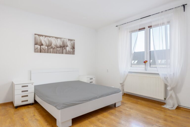 Prodej bytu 1+1, 48 m2, OV, 28.října,  Ostrava -Mariánské Hory