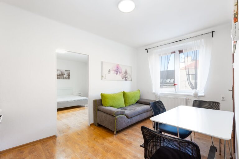 Prodej bytu 1+1, 48 m2, OV, 28.října,  Ostrava -Mariánské Hory